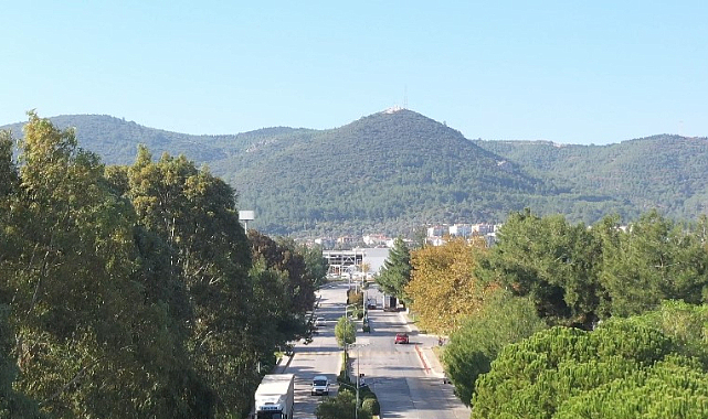 ESBAŞ'taki Çevreci Yatırımlarla 2025'te 8 Bin Ağaç Korundu