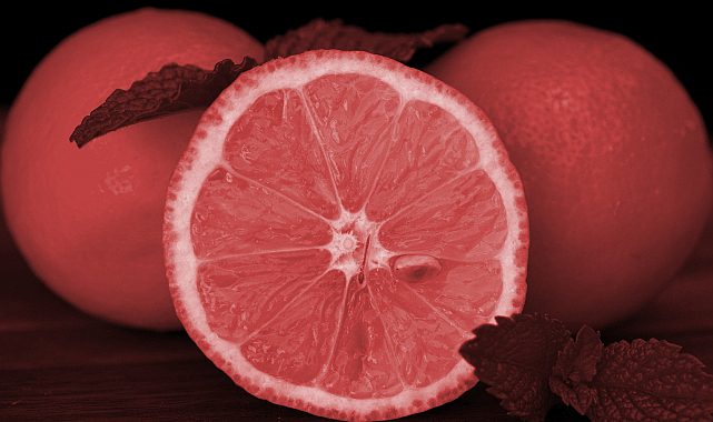 Limon İhracatında Miktar Düştü Ama Gelir Arttı