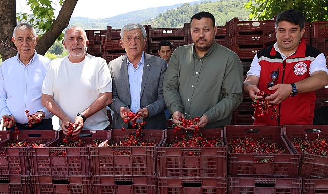 Salihli Kirazı'na 'Sürdürülebilirlik' Denetimi