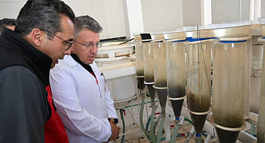 Seferihisar'da Sazan Balığı Sağım ve Üretimi