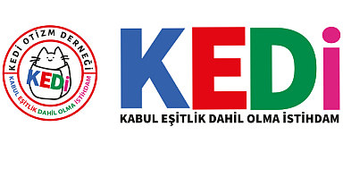 Danıştay'dan Özel Eğitimle İlgili Yeni Karar