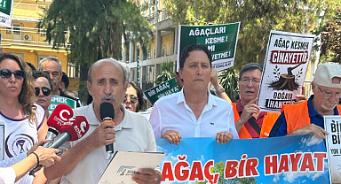Hastane Bahçesindeki Ağaç Kesimi Kararına Tepki