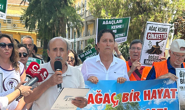 Hastane Bahçesindeki Ağaç Kesimi Kararına Tepki
