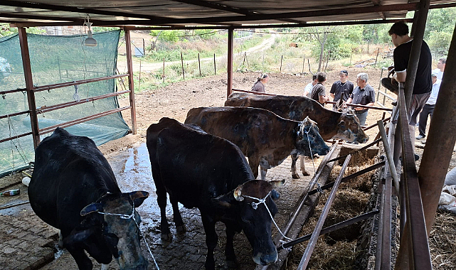 Manisa Büyükşehir'den Yangından Etkilenen Gördesli Üreticiye Yem Desteği