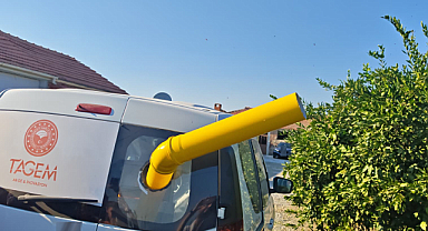 Akdeniz Meyvesineğine Karşı Doğa Dostu Hamle