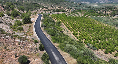 Efes Selçuk'taki 13 Kilometrelik Zeytinköy Yolu'nda Yenileme Çalışması