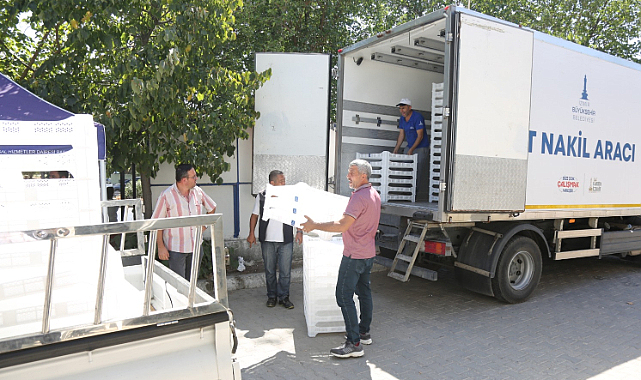 İzmir Büyükşehir Ekiplerinden Efes Selçuk'ta İncir Üreticilerine Kerevet Dağıtımı