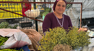 Aydın Dağlarından Toplanan Tarhana Otu Tezgahlarda