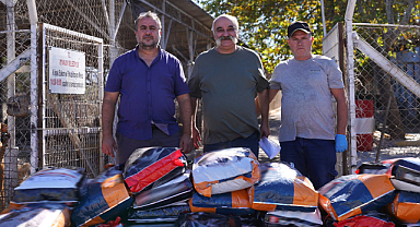 Ayvalık'ta Sokak Hayvanları İçin 1 Ton Mama Toplandı